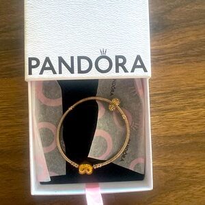 Pandora bracelet with llama charm